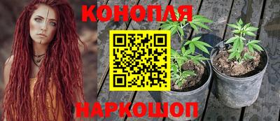 spice Усть-Джегута