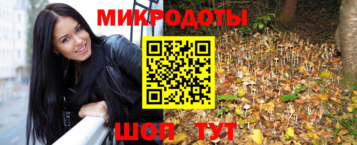 Псилоцибиновые грибы прущие грибы  цена наркотик  Новочеркасск  Вход с VPN 